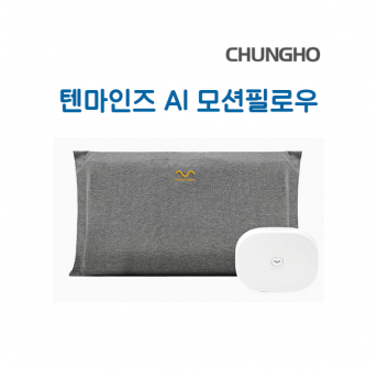 텐마인즈 AI모션필로우